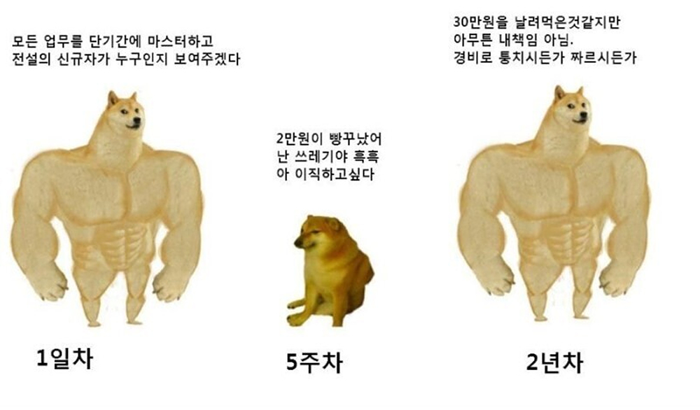 3년차