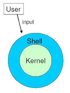 shell